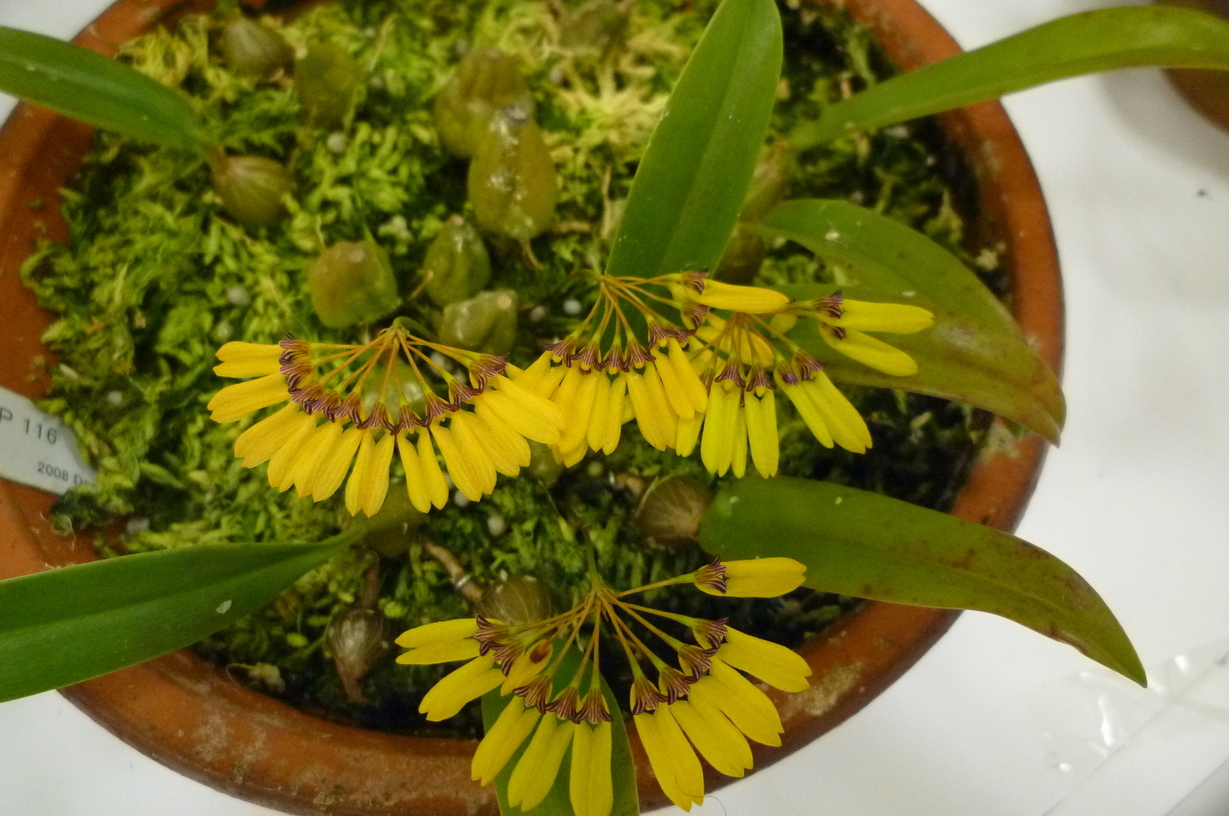 �`�����W�A�@de �@�`���o�J