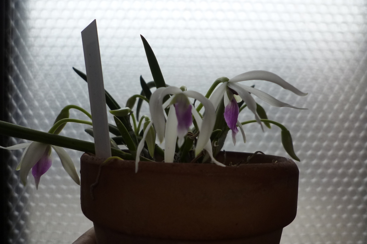 �`�����W�A�@de �@�`���o�J