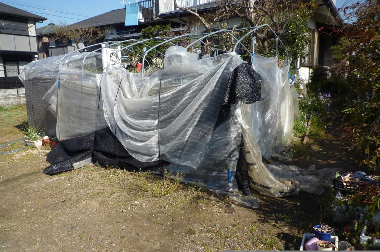 �`�����W�A�@de �@�`���o�J