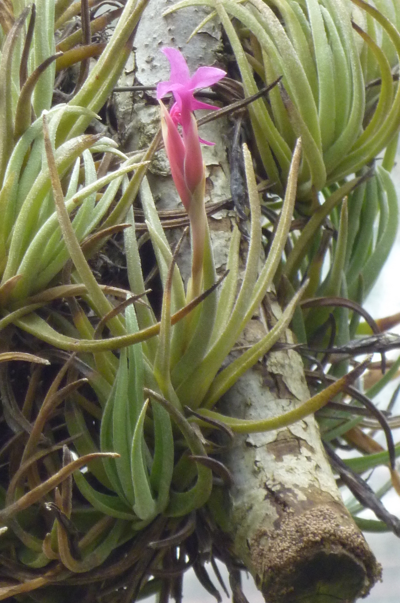 �`�����W�A�@de �@�`���o�J