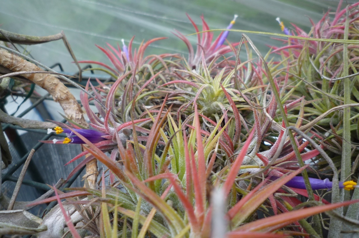 �`�����W�A�@de �@�`���o�J