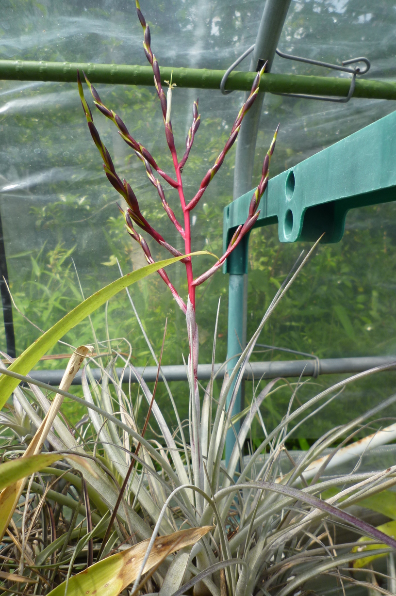 �`�����W�A�@de �@�`���o�J