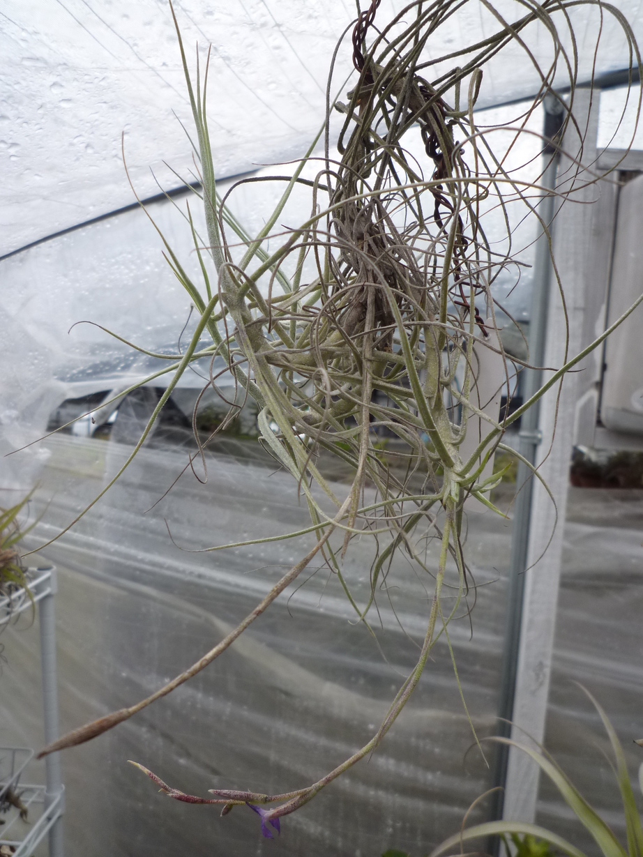 �`�����W�A�@de �@�`���o�J