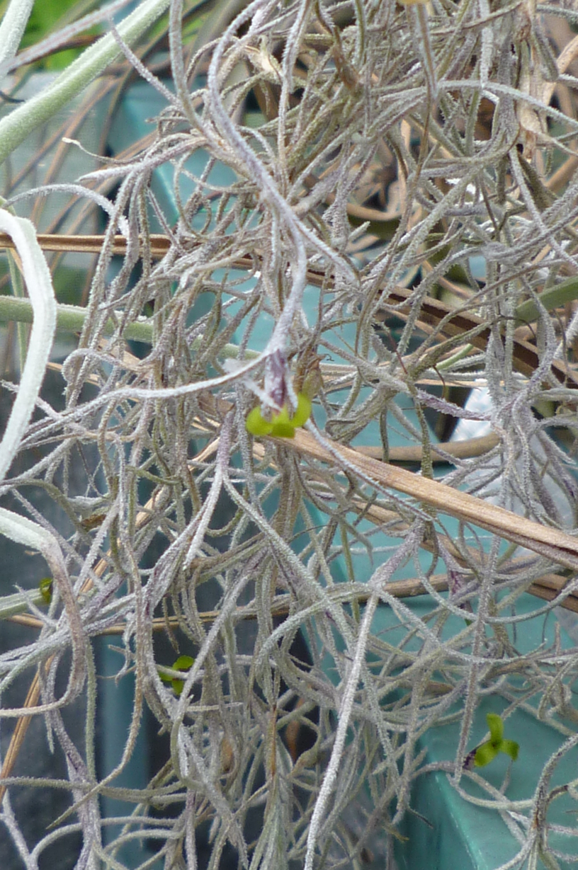 �`�����W�A�@de �@�`���o�J