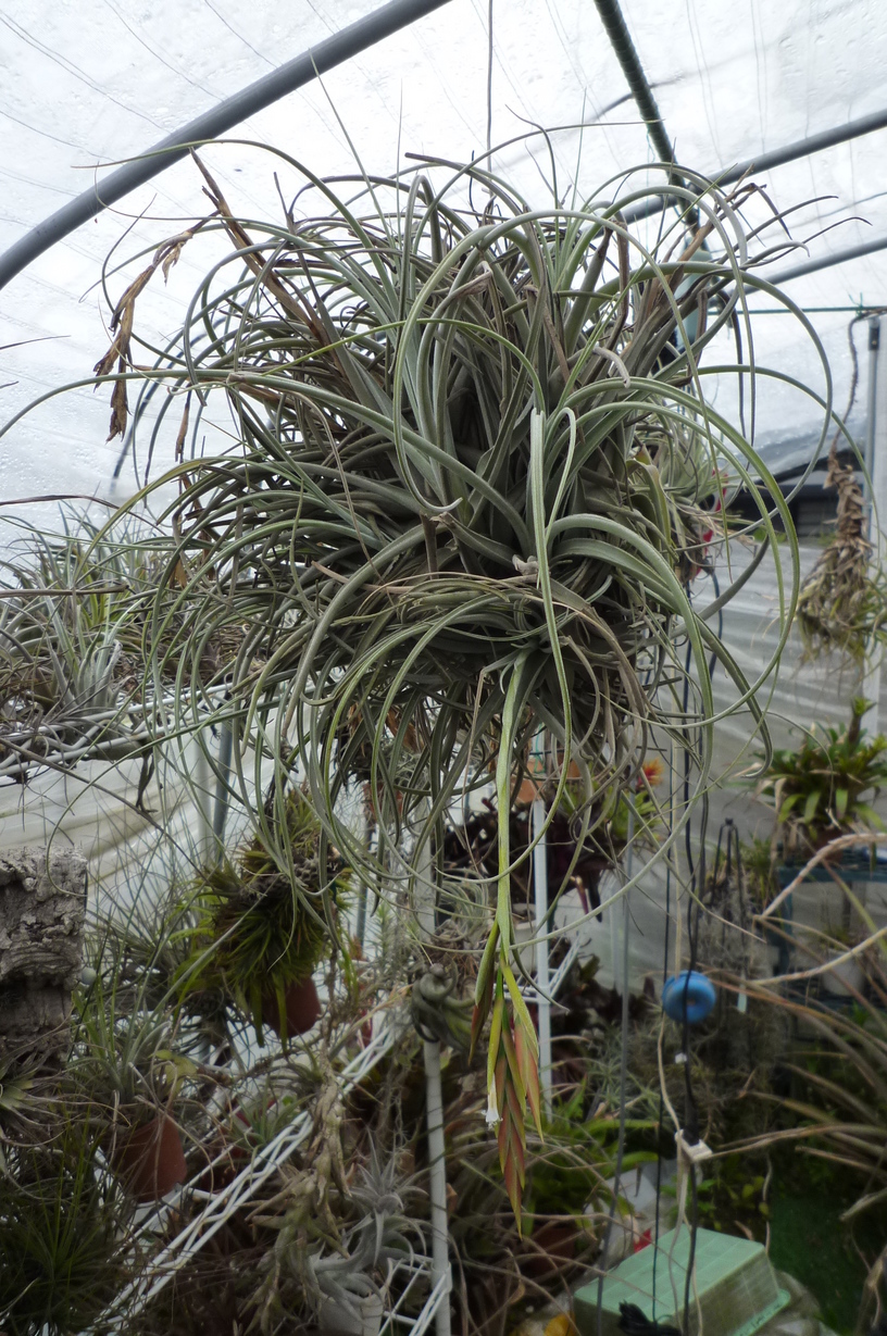 �`�����W�A�@de �@�`���o�J