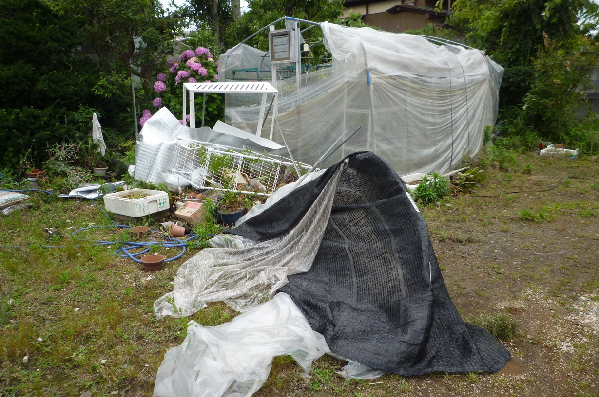 �`�����W�A�@de �@�`���o�J