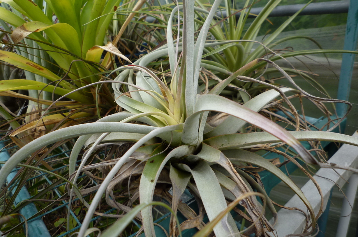 �`�����W�A�@de �@�`���o�J