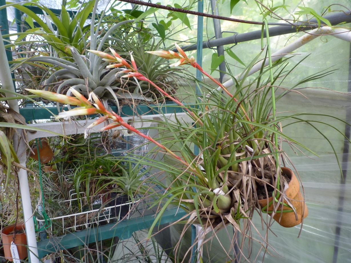 �`�����W�A�@de �@�`���o�J