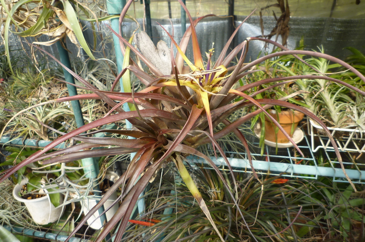 �`�����W�A�@de �@�`���o�J