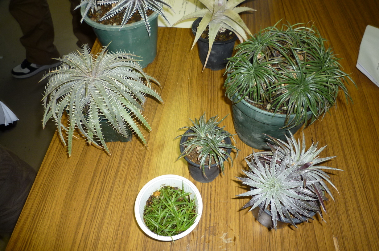 �`�����W�A�@de �@�`���o�J