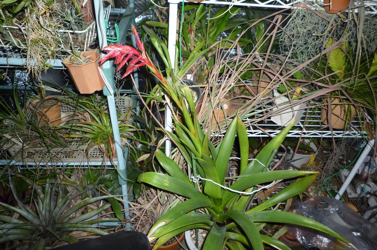 �`�����W�A�@de �@�`���o�J