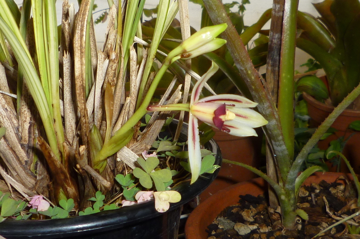 �`�����W�A�@de �@�`���o�J