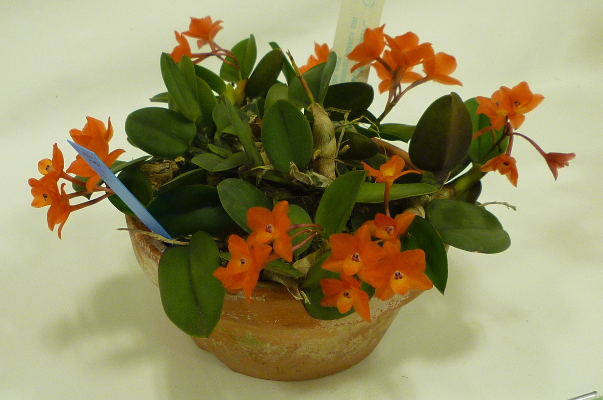 �`�����W�A�@de �@�`���o�J