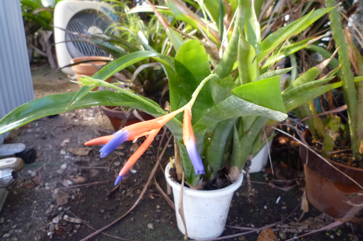 �`�����W�A�@de �@�`���o�J