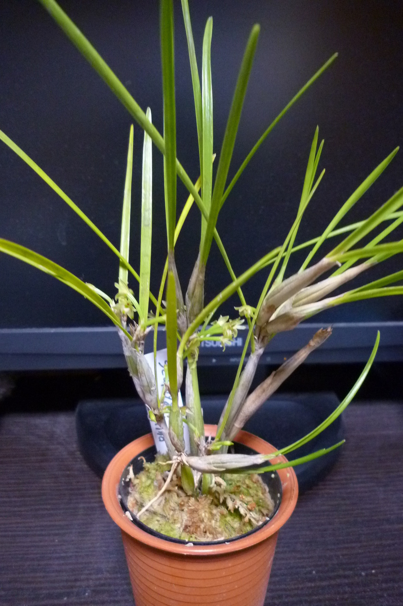 �`�����W�A�@de �@�`���o�J