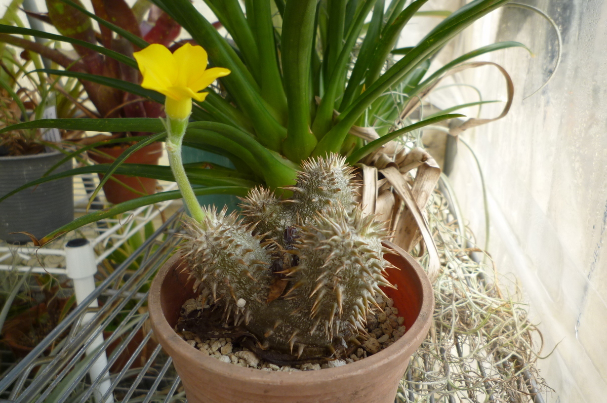 �`�����W�A�@de �@�`���o�J