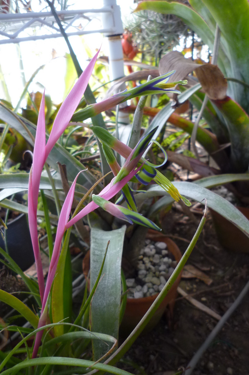 �`�����W�A�@de �@�`���o�J