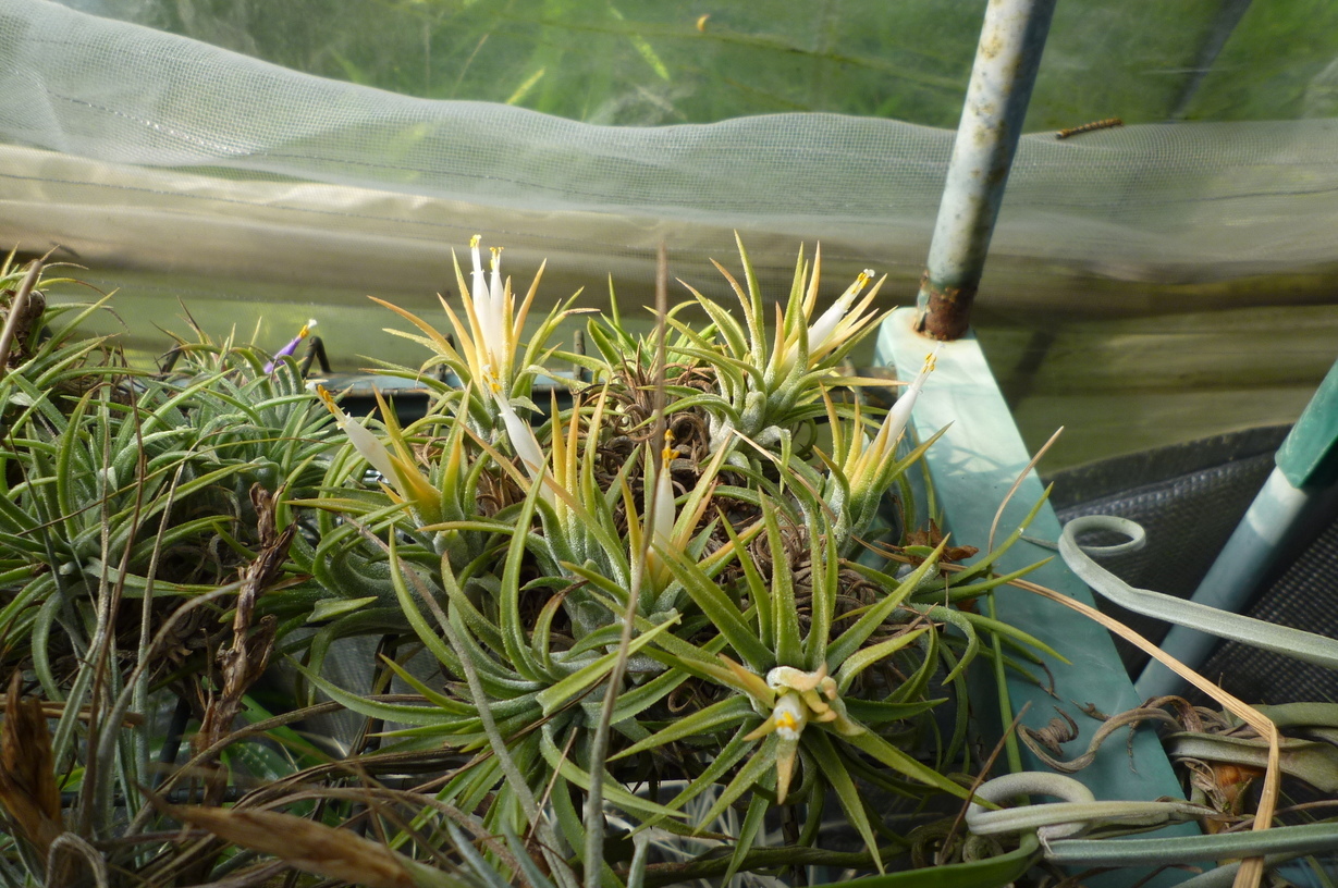 �`�����W�A�@de �@�`���o�J