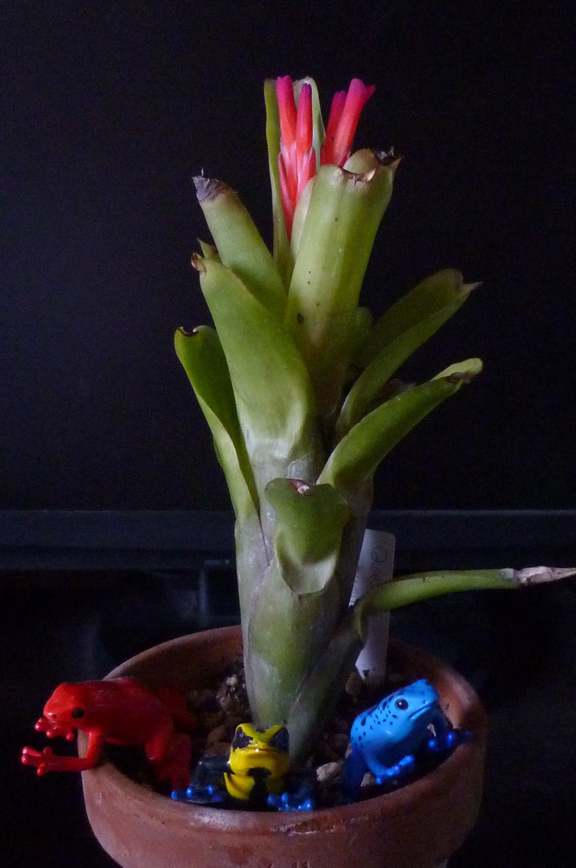 �`�����W�A�@de �@�`���o�J