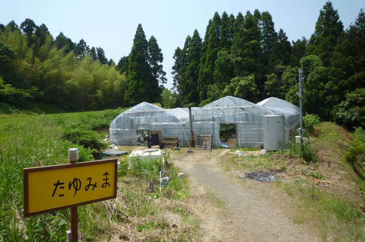 �`�����W�A�@de �@�`���o�J