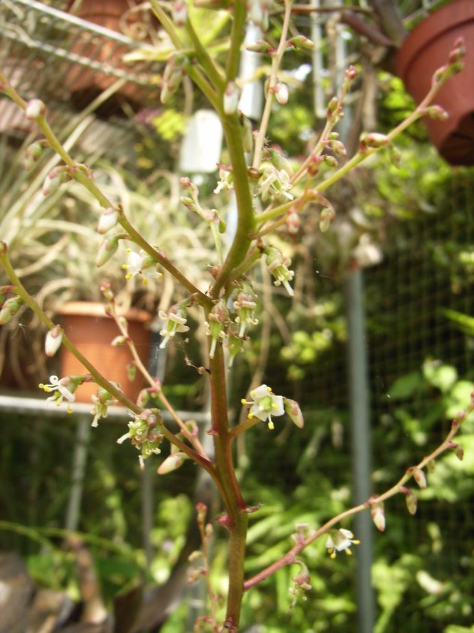 �`�����W�A�@de �@�`���o�J