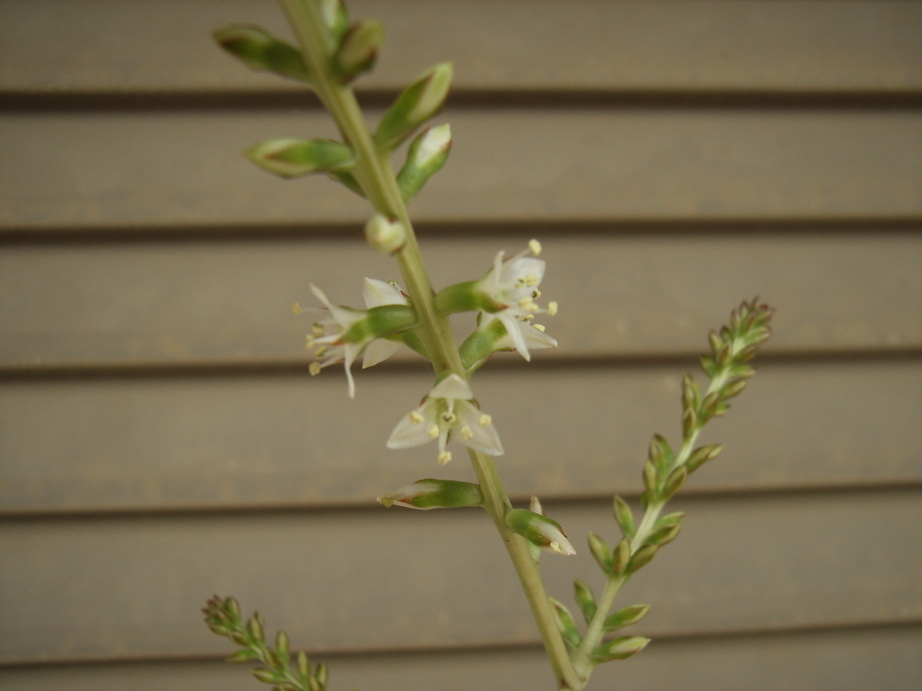 �`�����W�A�@de �@�`���o�J