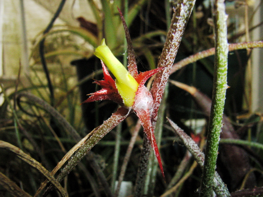 �`�����W�A�@de �@�`���o�J