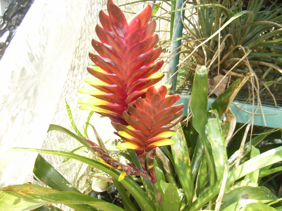 �`�����W�A�@de �@�`���o�J