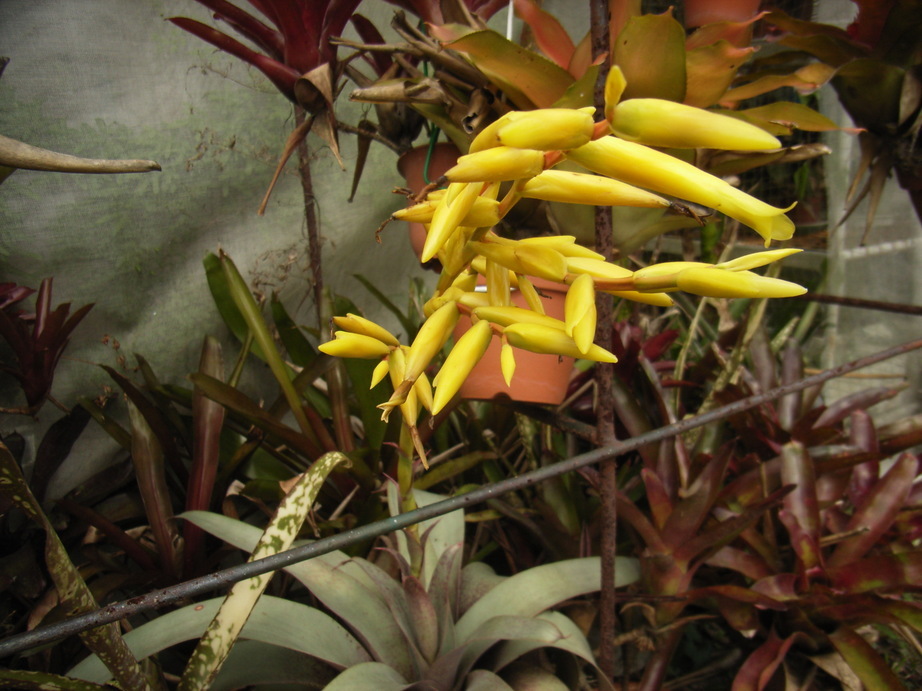 �`�����W�A�@de �@�`���o�J