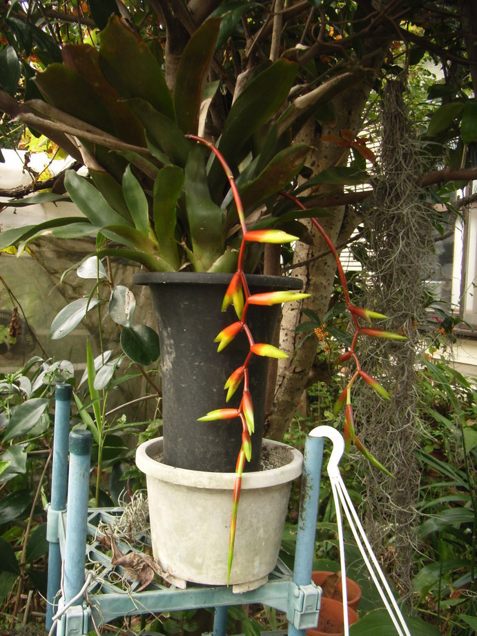 �`�����W�A�@de �@�`���o�J