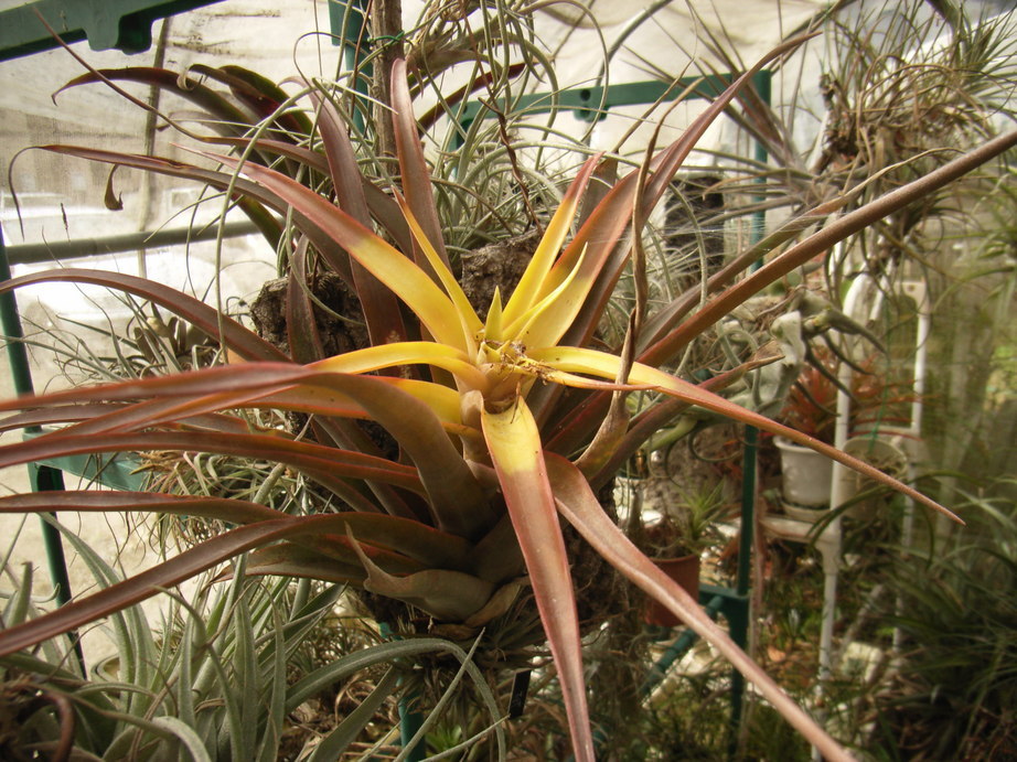 �`�����W�A�@de �@�`���o�J