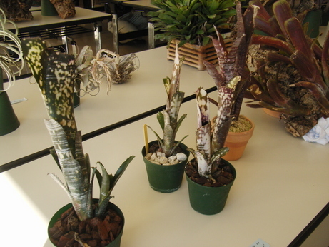 �`�����W�A�@de �@�`���o�J