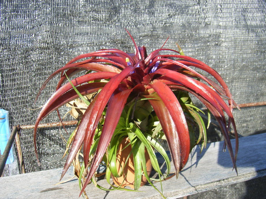 �`�����W�A�@de �@�`���o�J