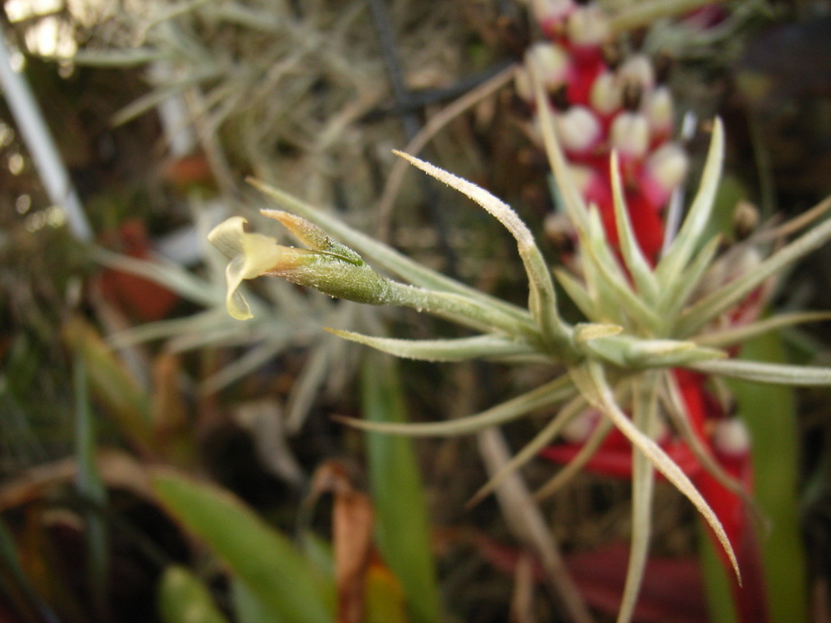 �`�����W�A�@de �@�`���o�J