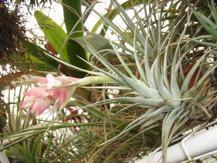 �`�����W�A�@de �@�`���o�J