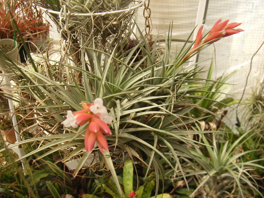 �`�����W�A�@de �@�`���o�J