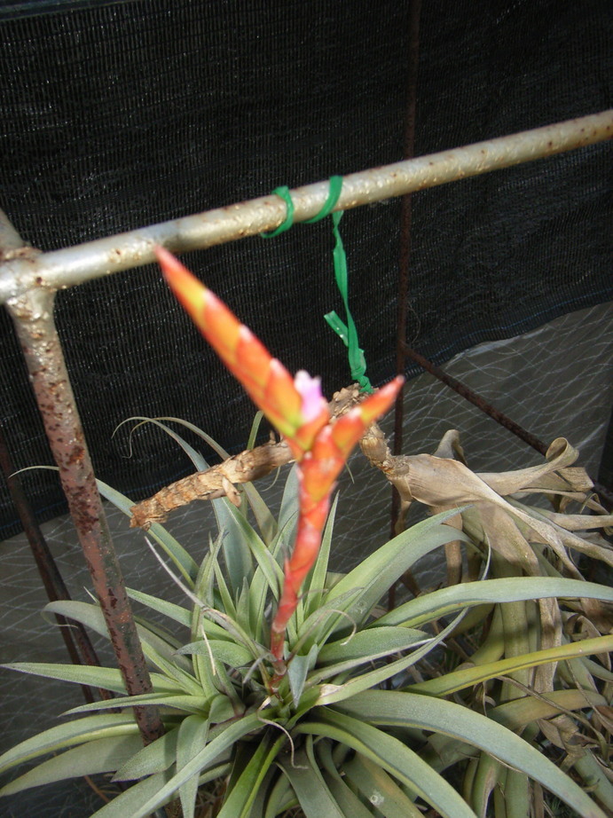 �`�����W�A�@de �@�`���o�J