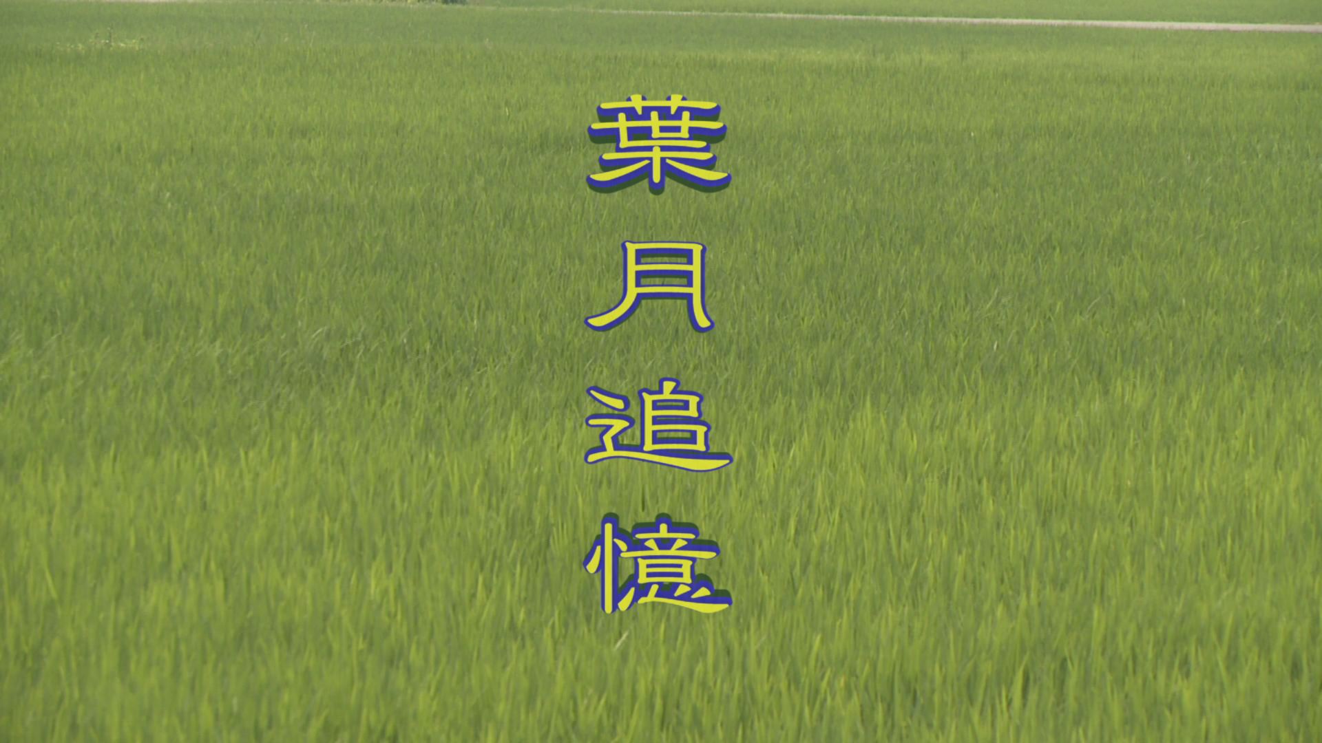 ���̊X�̂ǂ�����