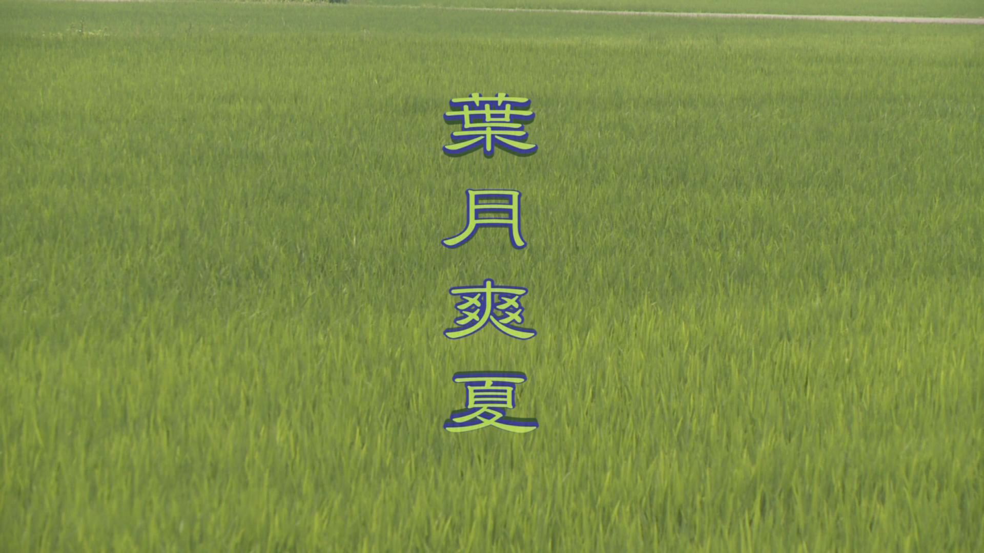 ���̊X�̂ǂ�����