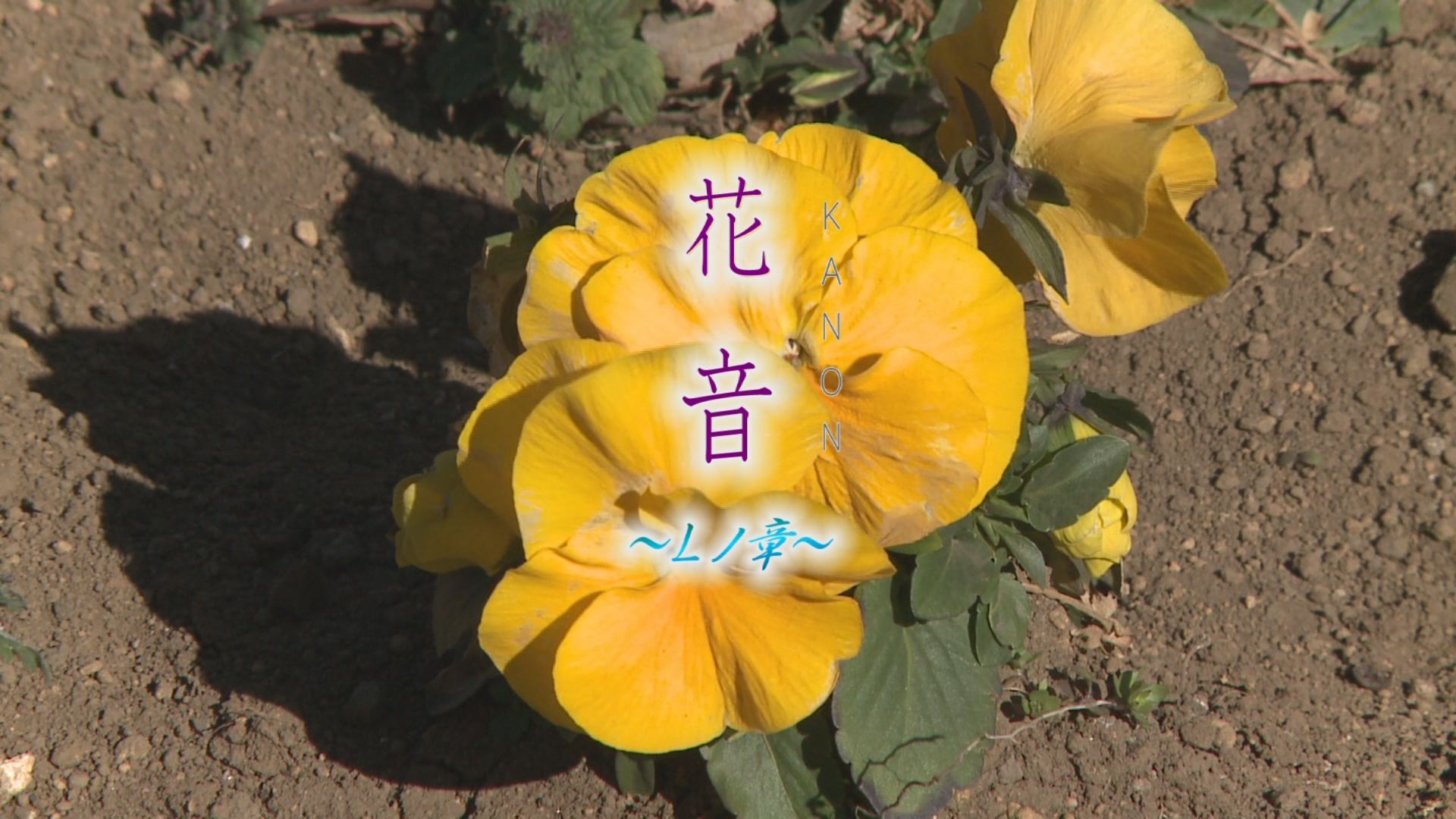 ���̊X�̂ǂ�����