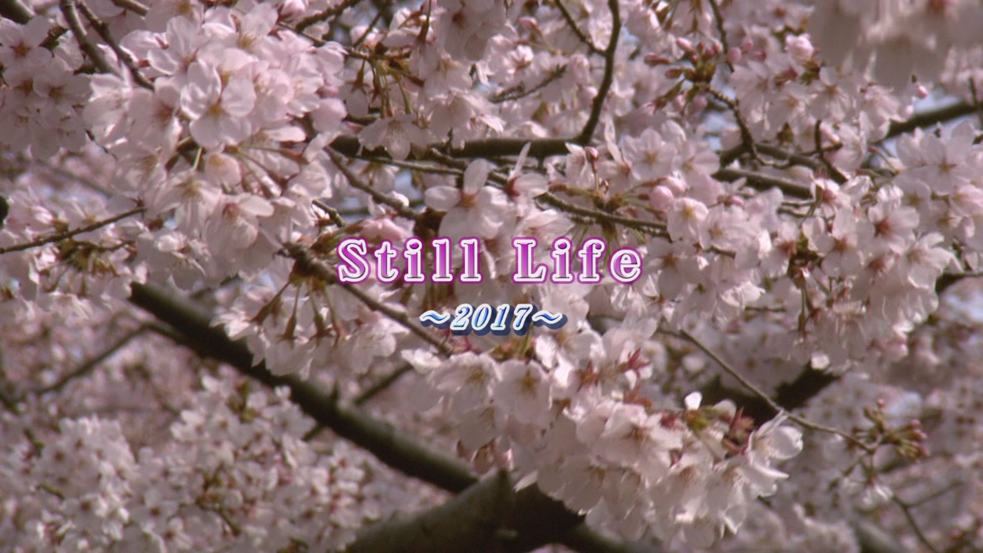 ���̊X�̂ǂ�����