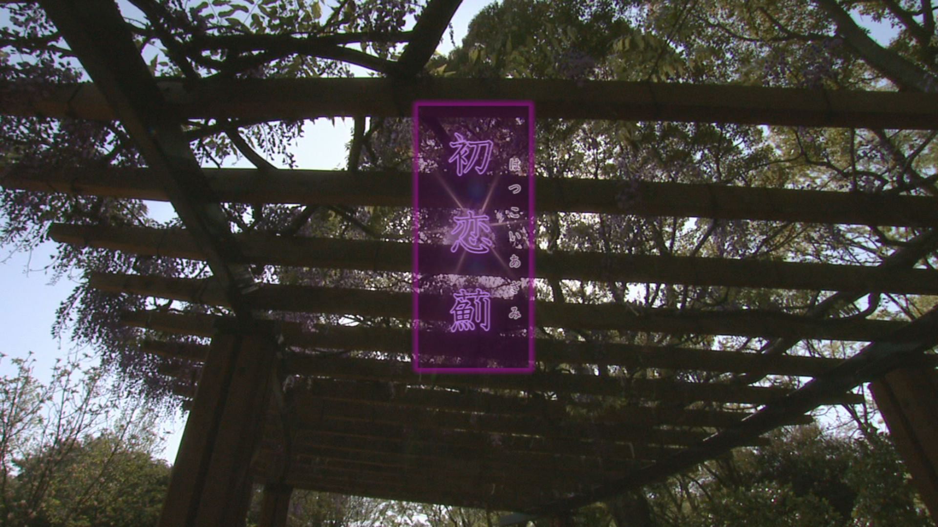 ���̊X�̂ǂ�����