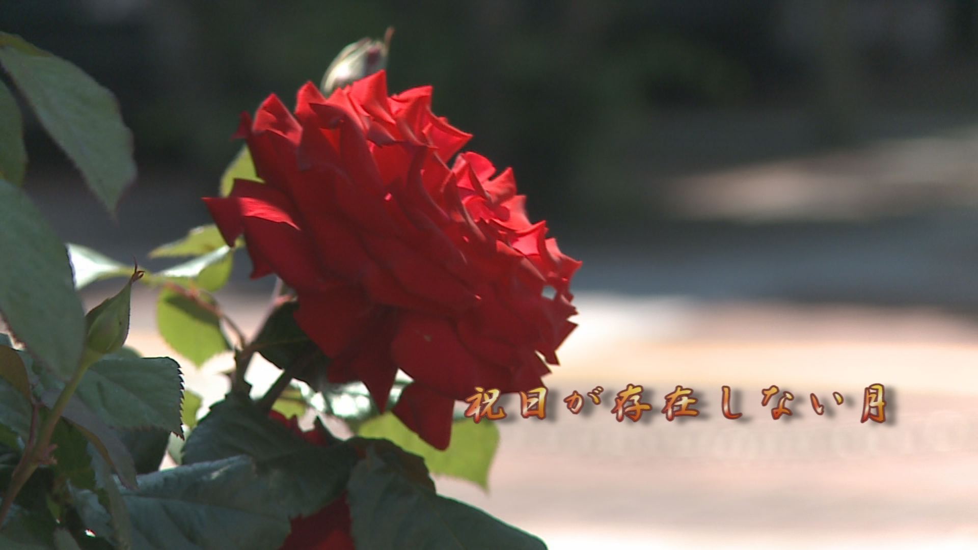 ���̊X�̂ǂ�����