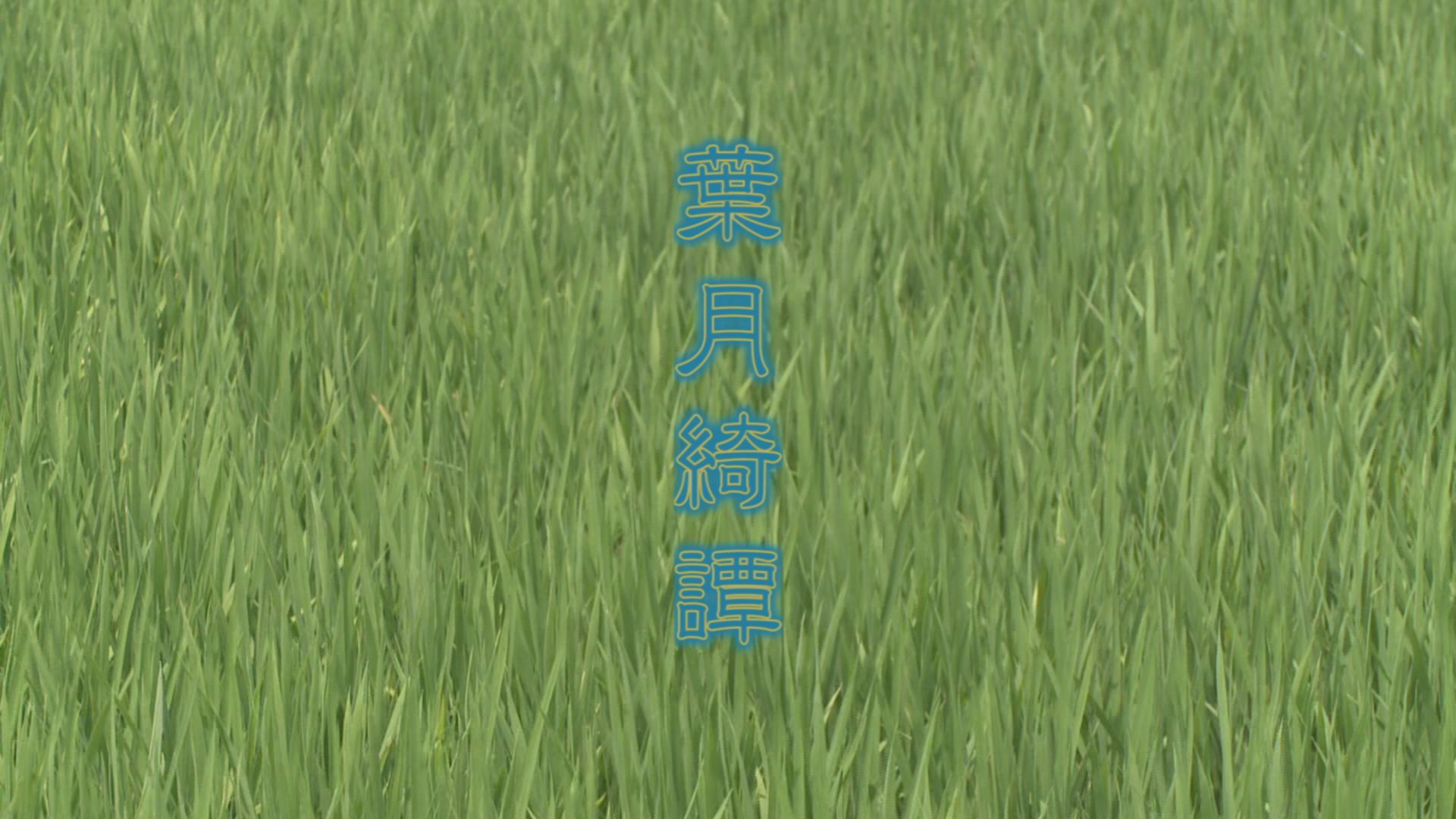 ���̊X�̂ǂ�����