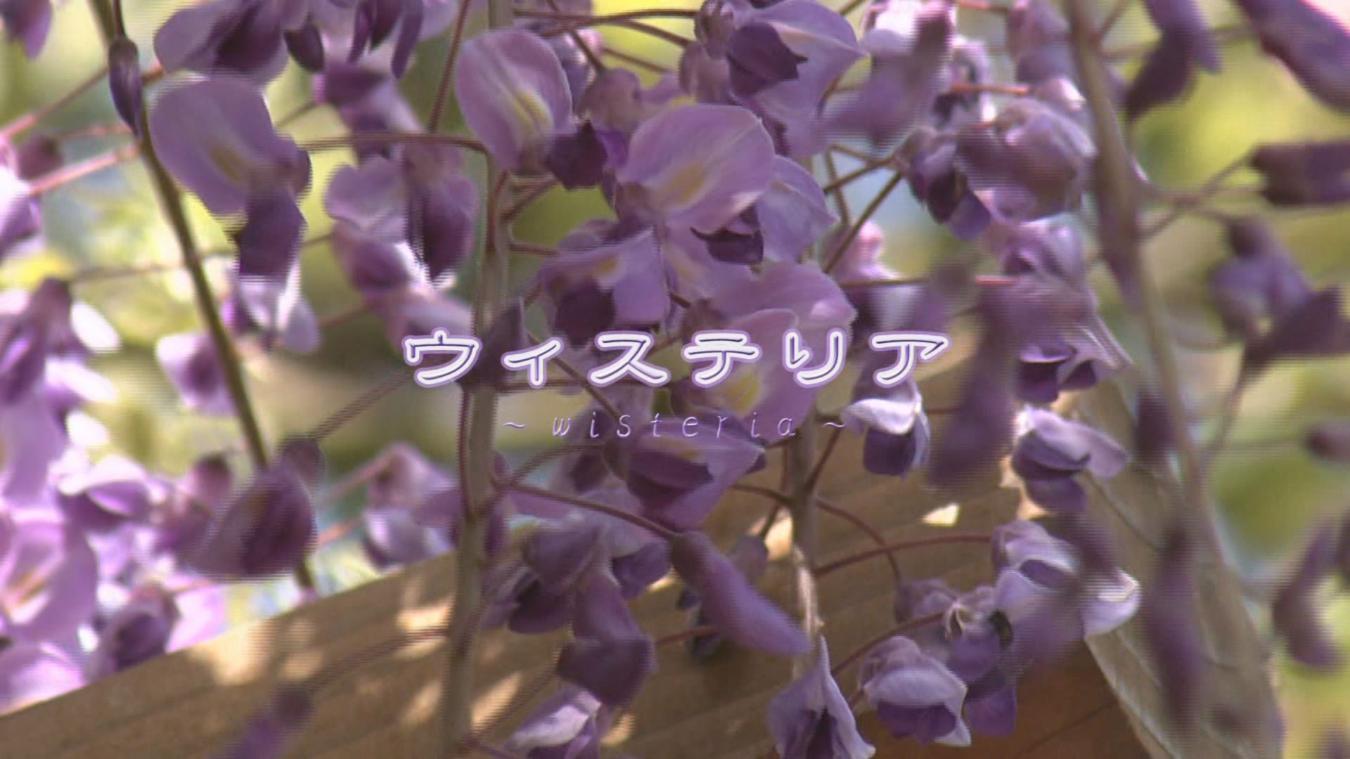 ���̊X�̂ǂ�����