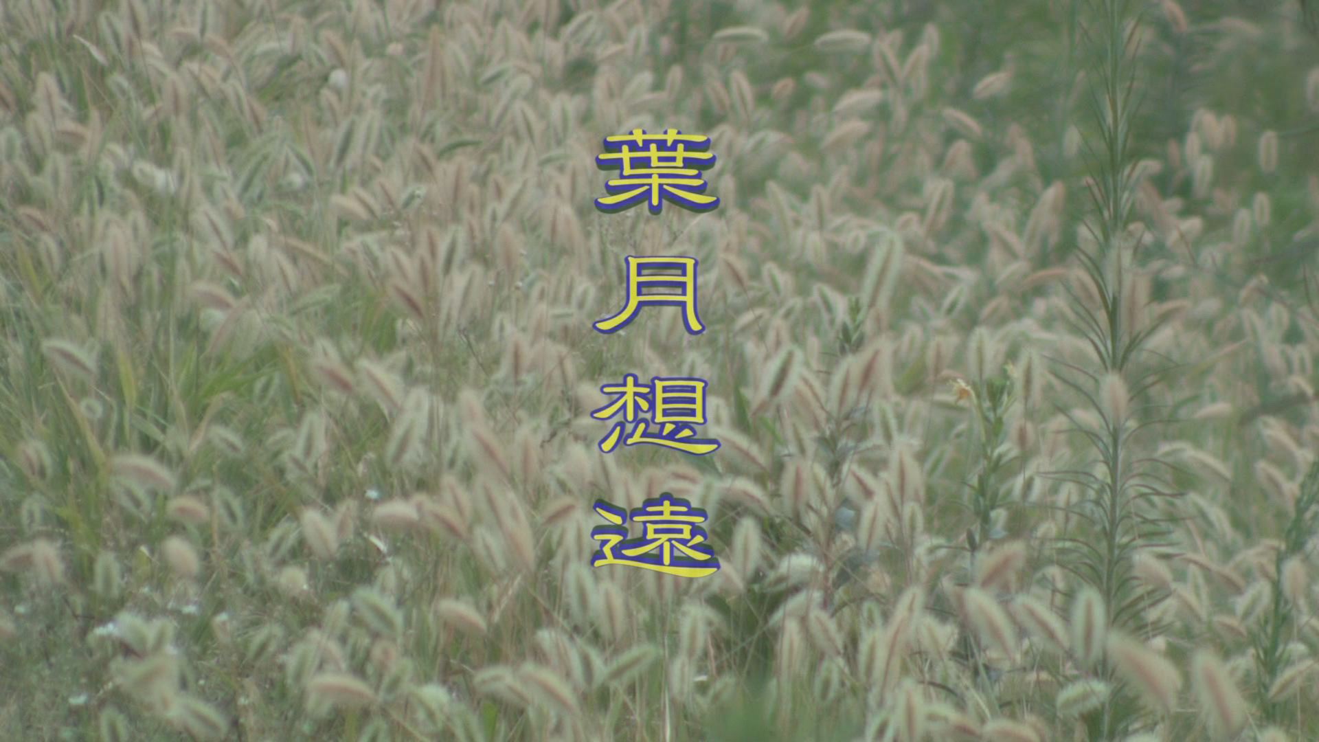 ���̊X�̂ǂ�����