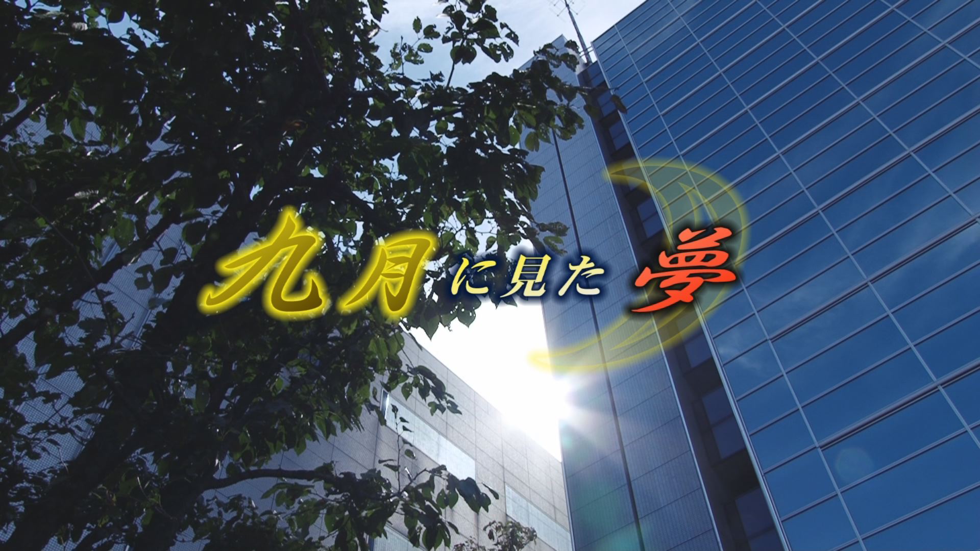 ���̊X�̂ǂ�����