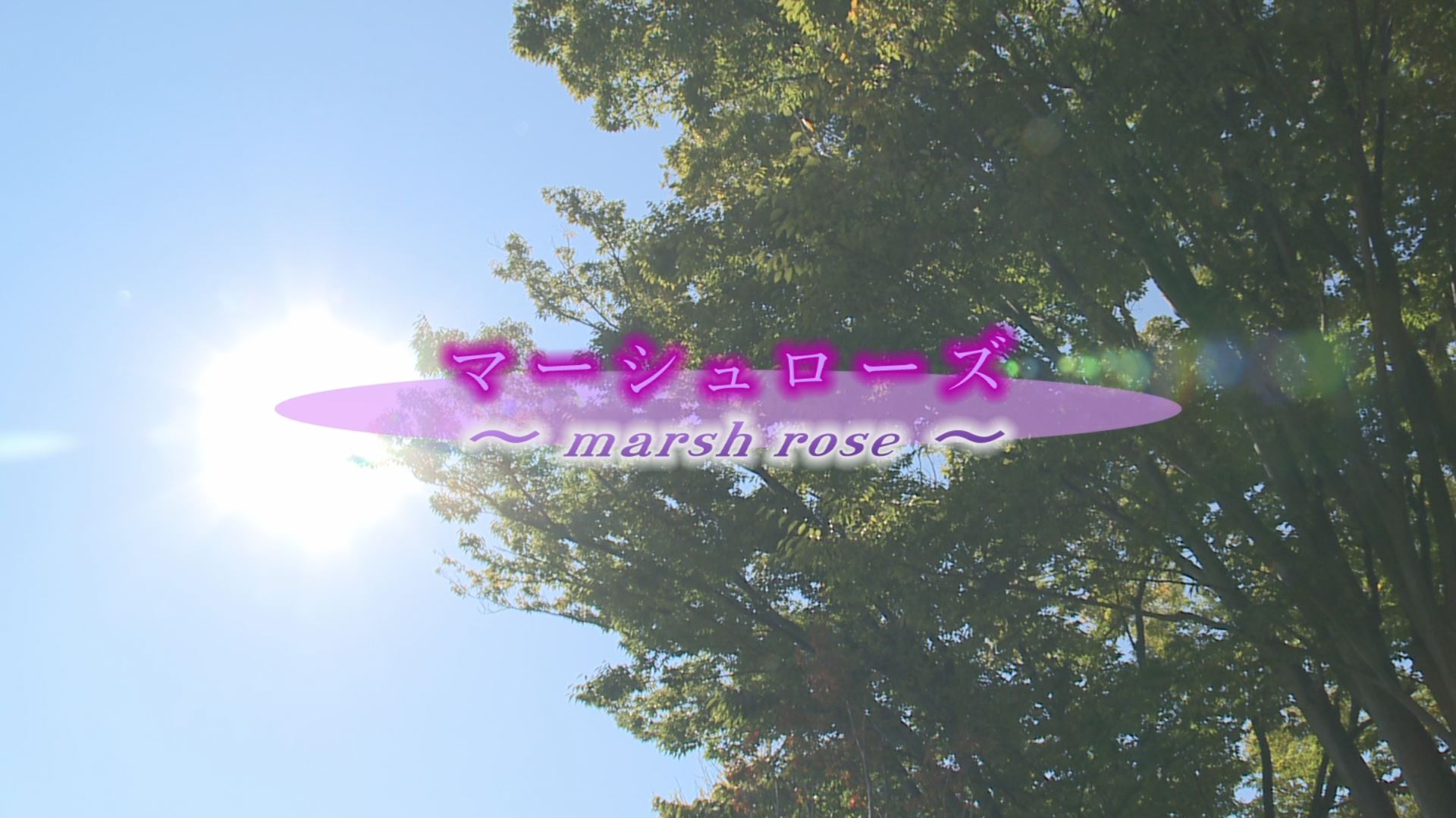 ���̊X�̂ǂ�����