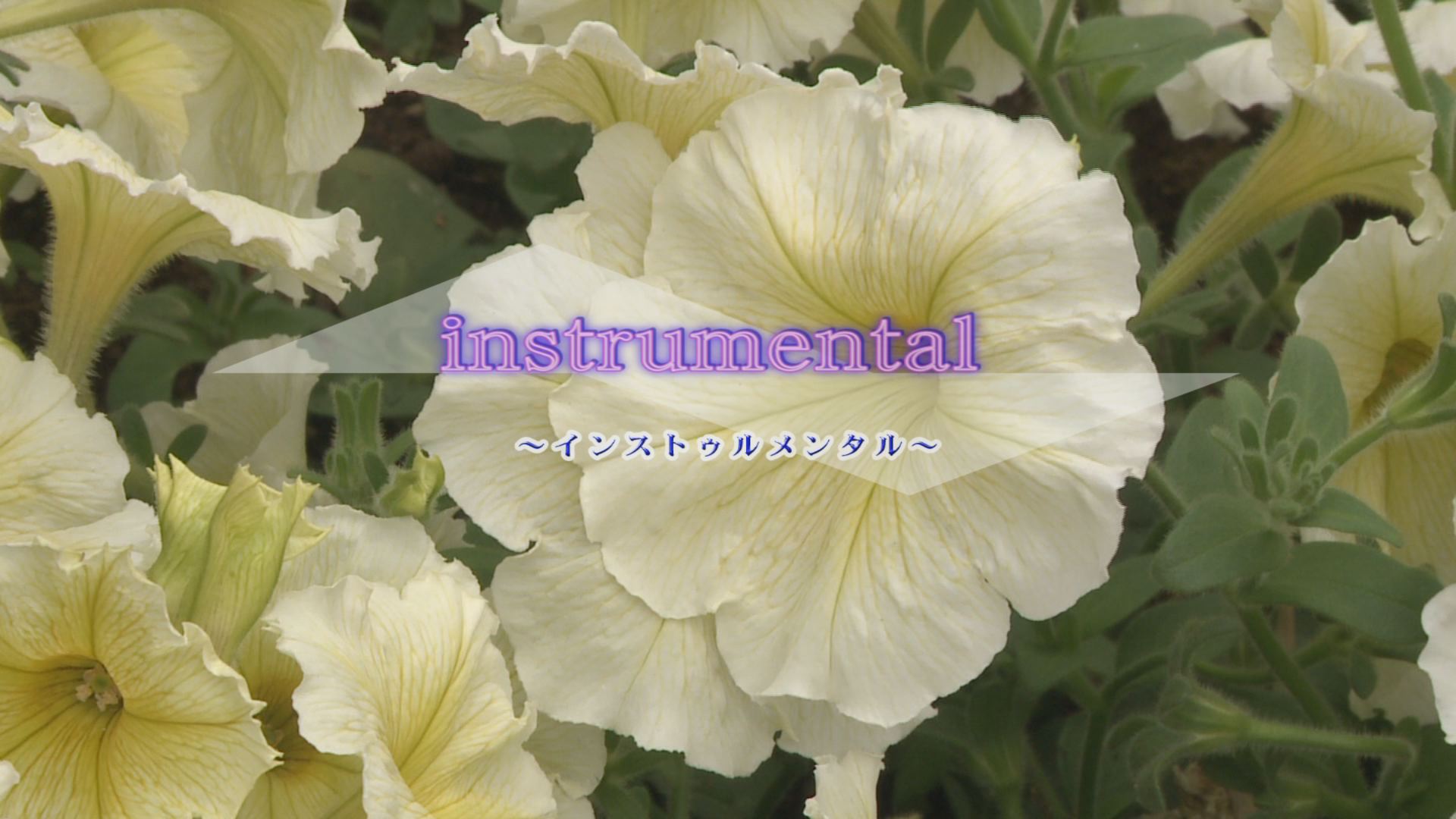 ���̊X�̂ǂ�����