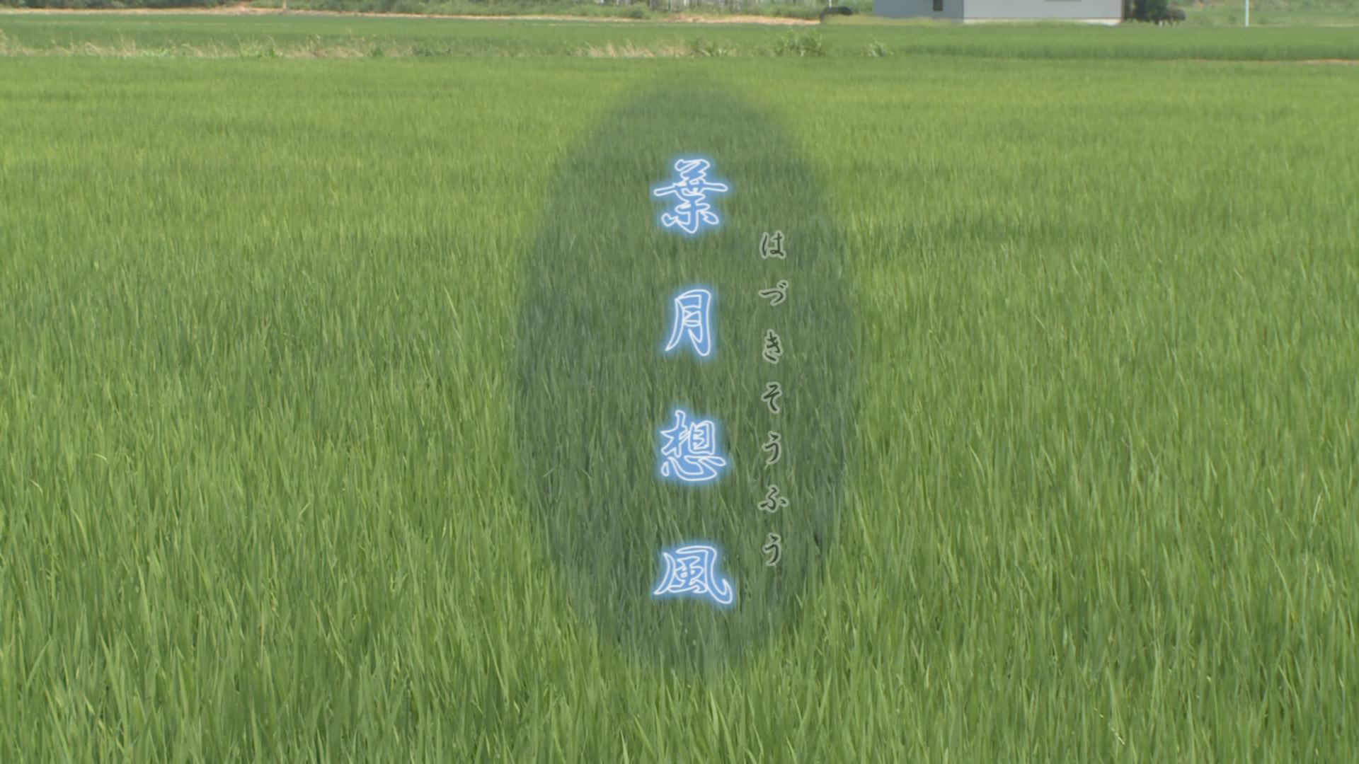 ���̊X�̂ǂ�����